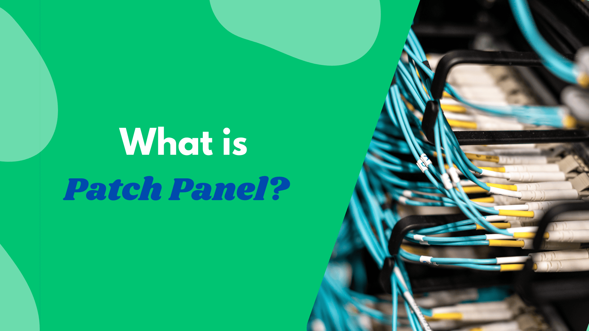 What is Patch Panel in Networking and How to Use It?